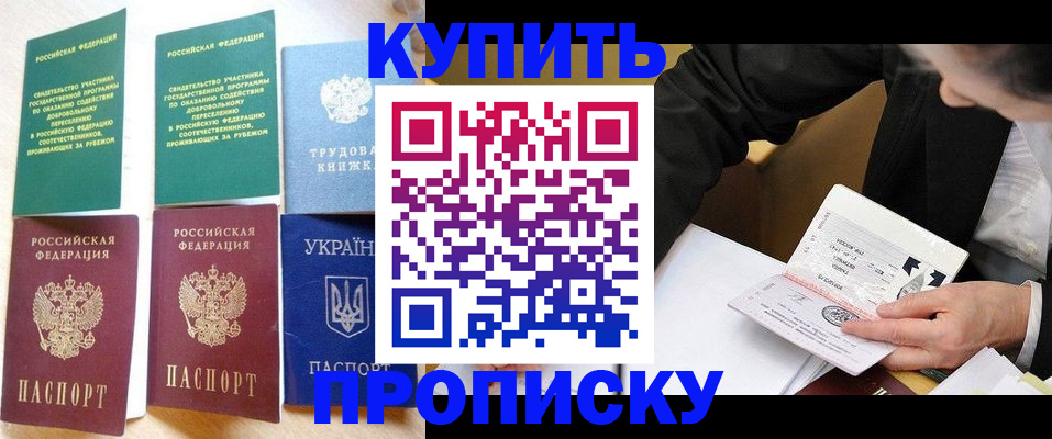 прописка для школы в Жукове